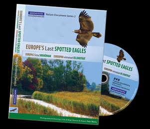 Euroopan viimeiset kiljukotkat