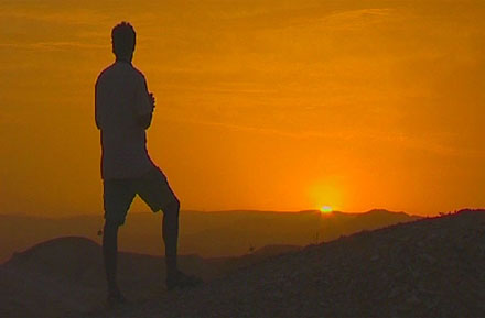 Intohimona Petolinnut DVD